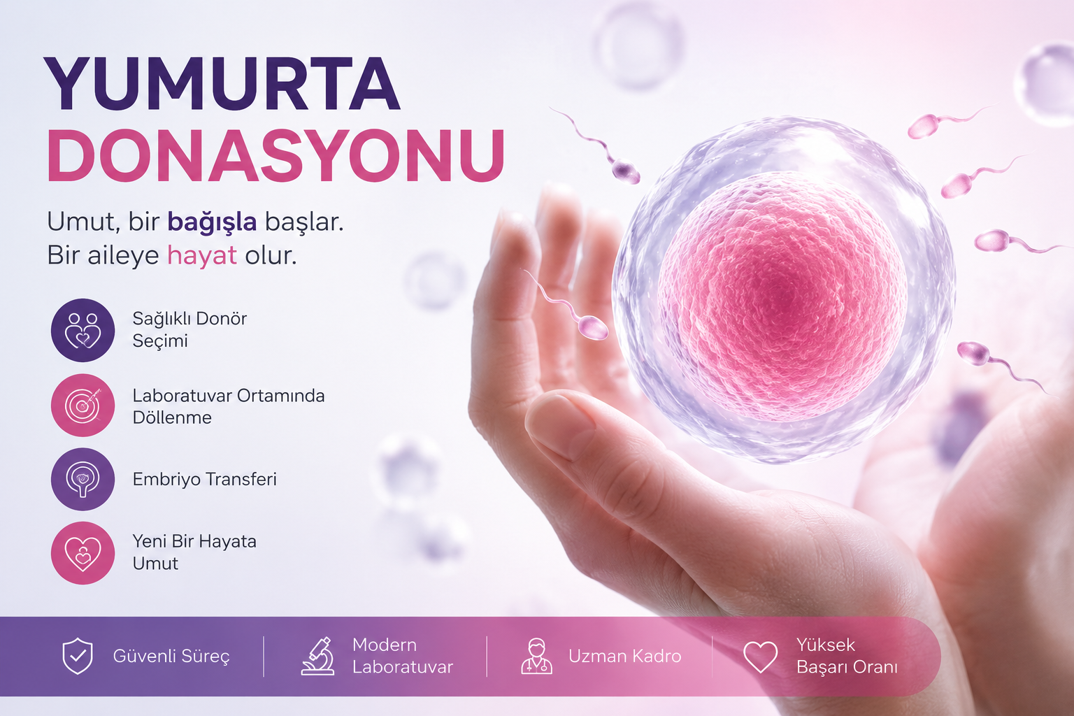 yumurta donasyonu